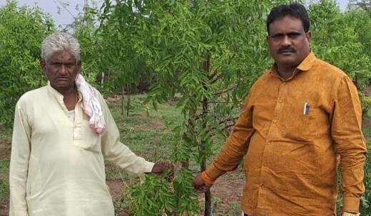 Sandalwood Farmers